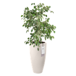 june round high 30cm bianco lino